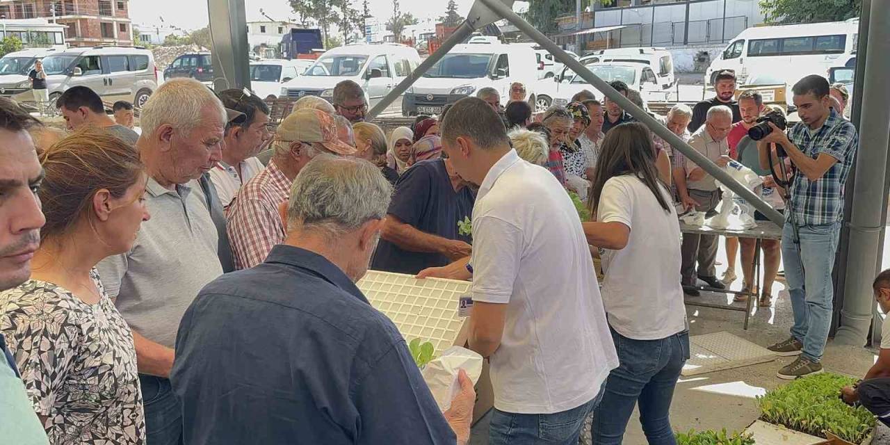 Bodrum’da Fide İzdihamı