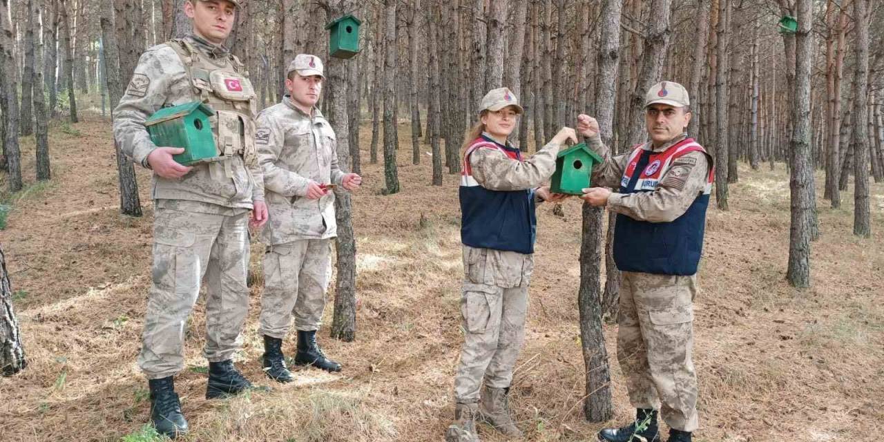 Ardahan’da Ormana 20 Adet Kuş Kafesi Konuldu