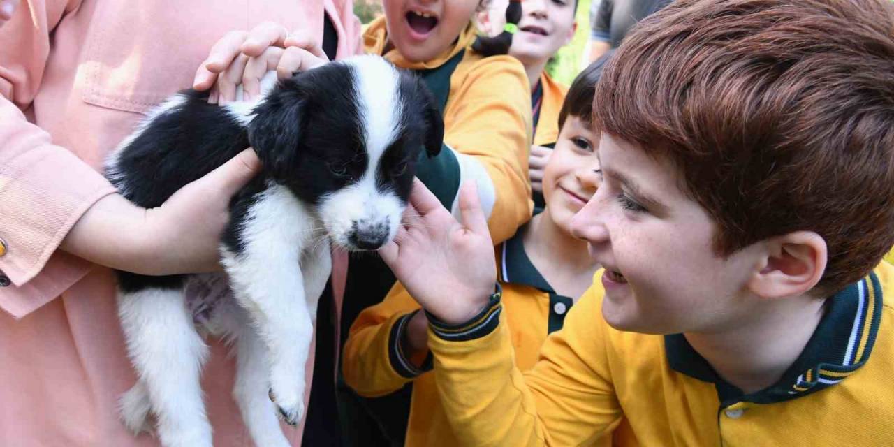 Hayvan Barınağını Ziyaret Eden Çocuklar Keyifli Vakit Geçirdi