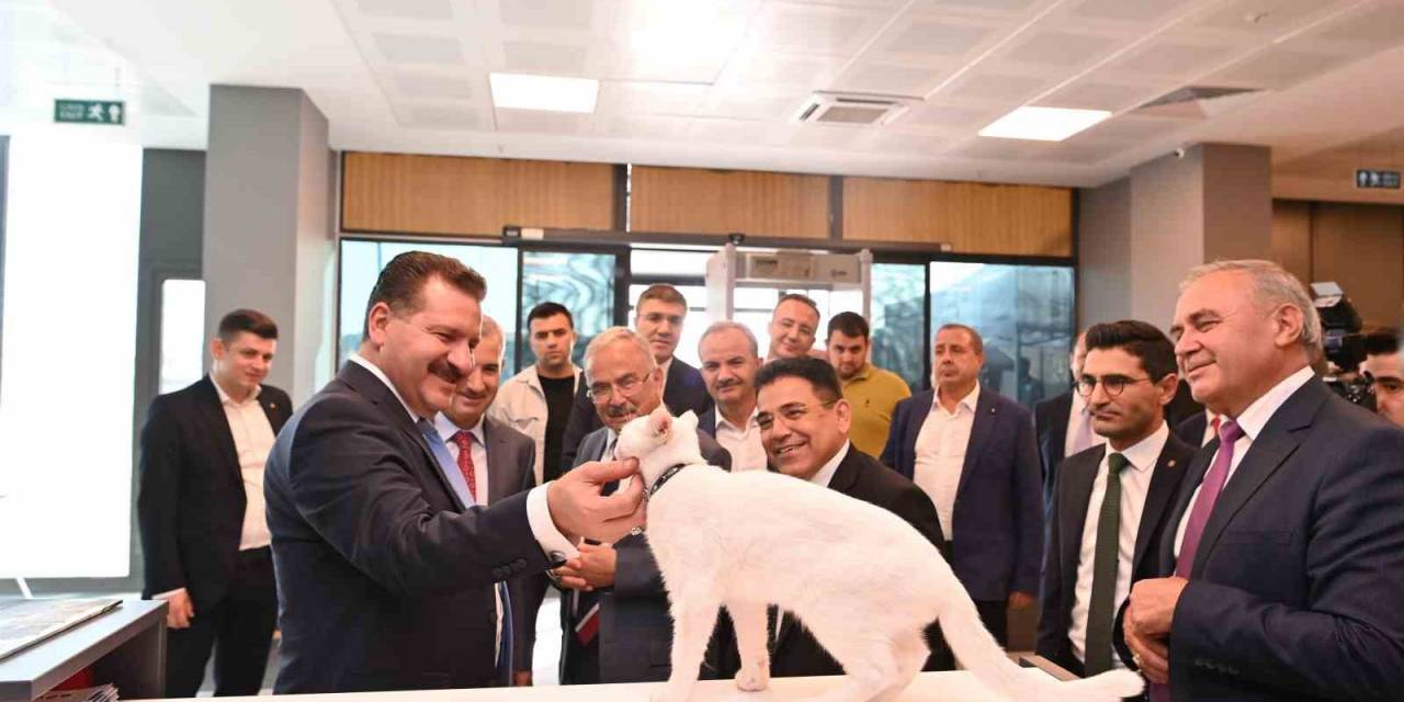 Büyükşehir, Mutlu Patiler Projesiyle Her Ay 5 Bin Sokak Hayvanına Ulaşıyor