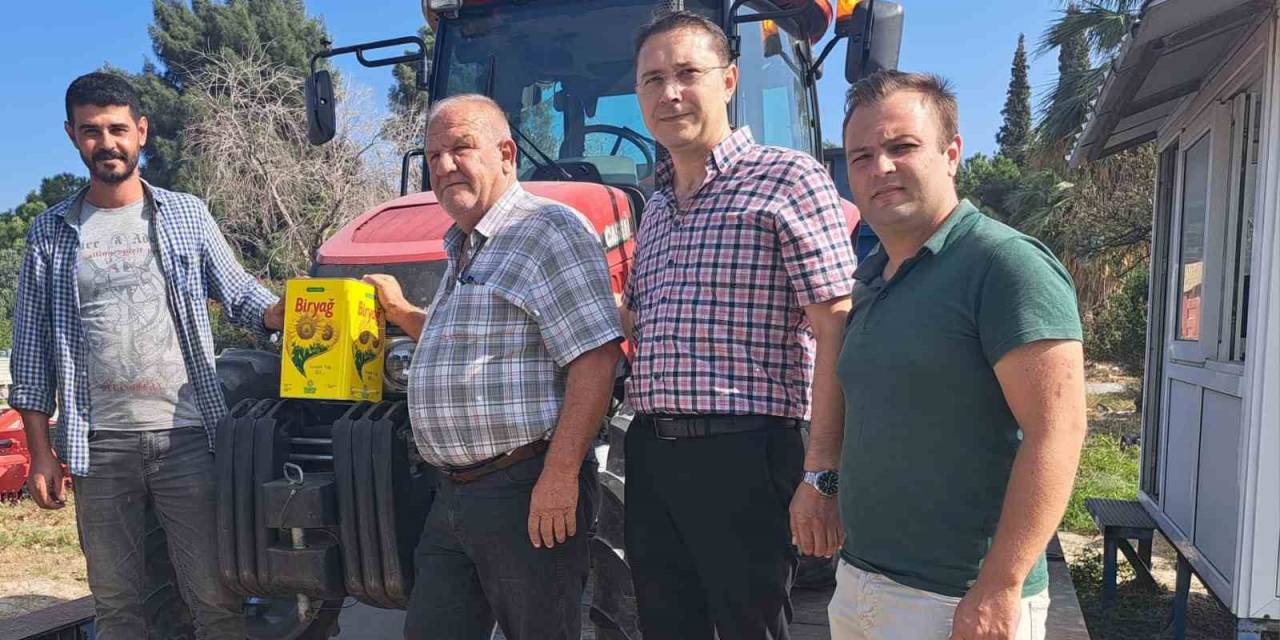 Söke Ovası’nda Ayçiçeği Hasadı Başladı