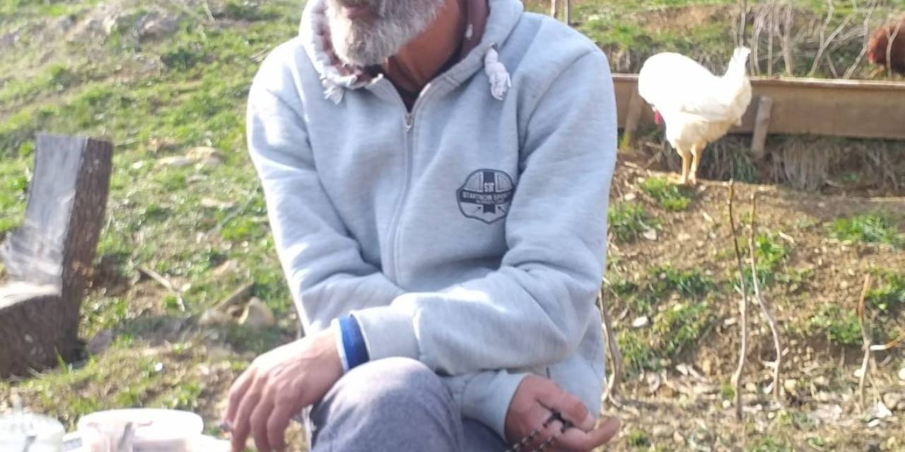 Ağaçtan Düşen Adam Hayatını Kaybetti