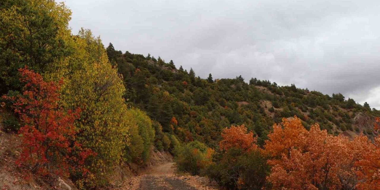 Şamatur Yaylası’nda Sonbaharın Renkleri