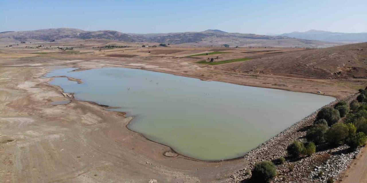 Su Seviyesi Yüzde 80 Düştü, Ağaçlar Ortaya Çıktı