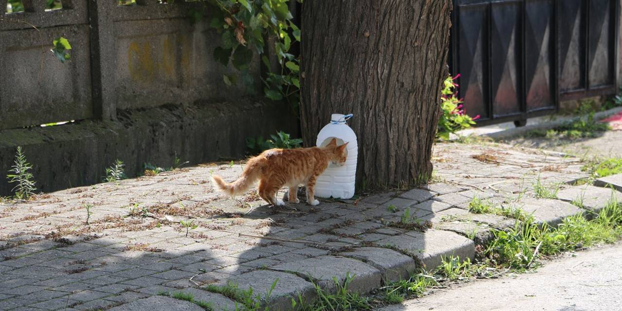 Engelsiz Hobi Atölyesinde Yürek Isıtan Etkinlik
