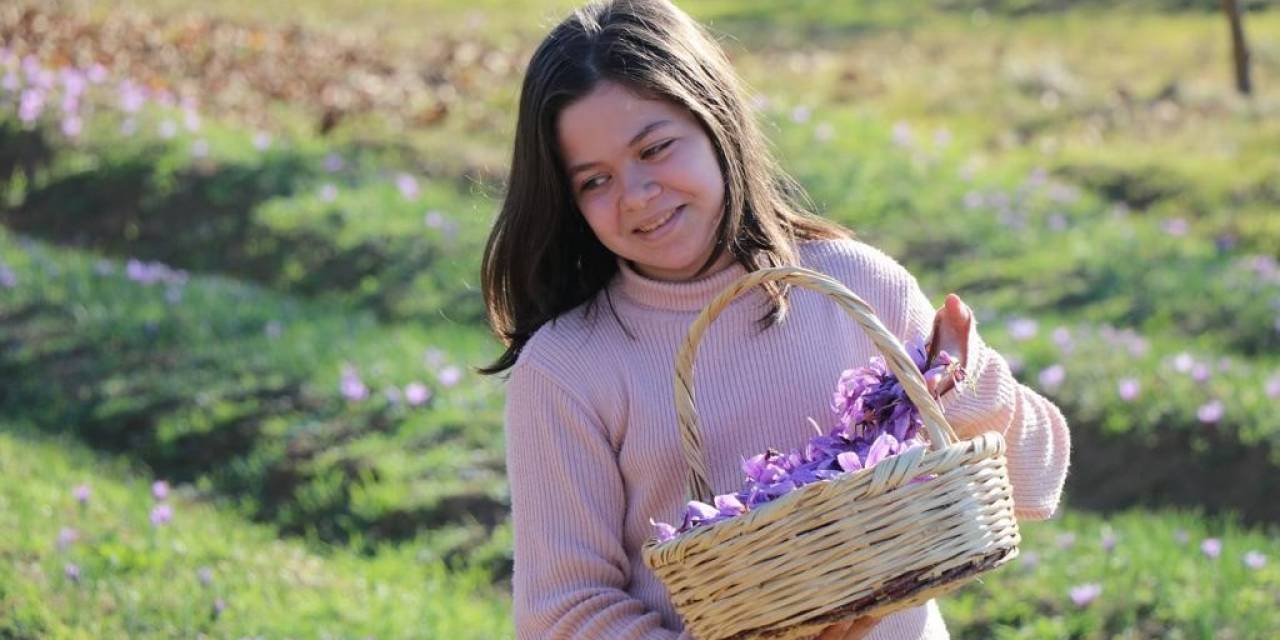 7. Safran Festivali 13-15 Ekim’de Yapılacak