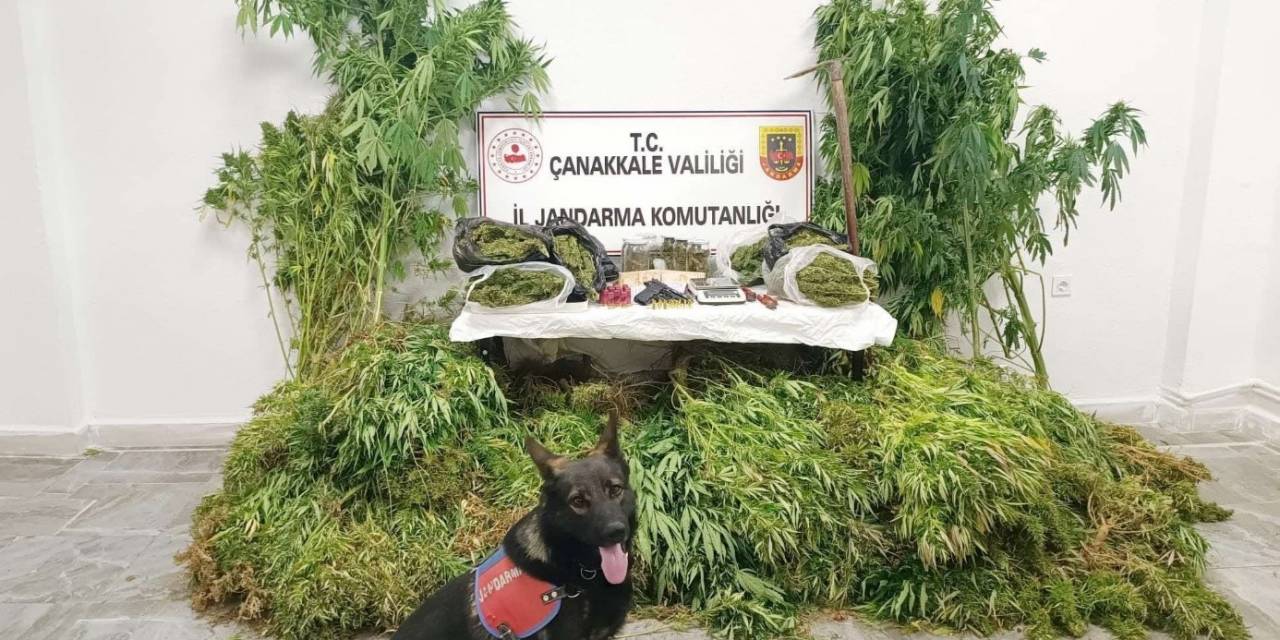 Çanakkale’de Jandarmadan Uyuşturucu Operasyonu: 6 Tutuklama