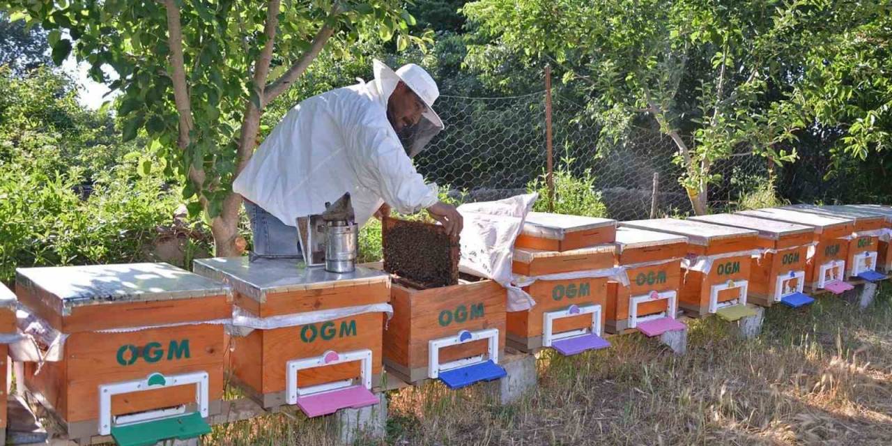 Balıkesir’in Bal Şehri Olduğu Tescillendi
