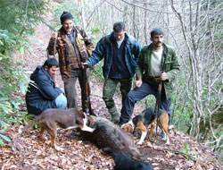 Köylüler Domuzlardan Şikayetçi