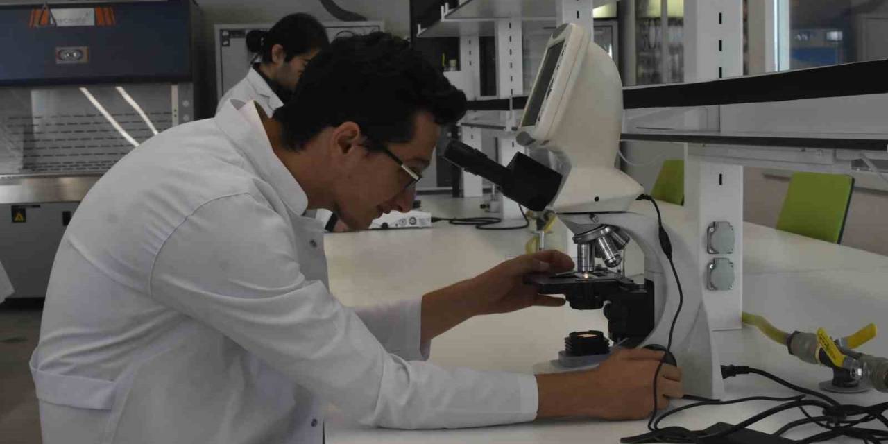 Türkiye’de İlk Bitki Hastanesi Konya’da Açıldı