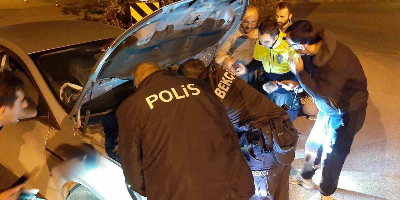 Uygulamada Durdurdukları Otomobilin Motorundan Kedi Kurtardılar