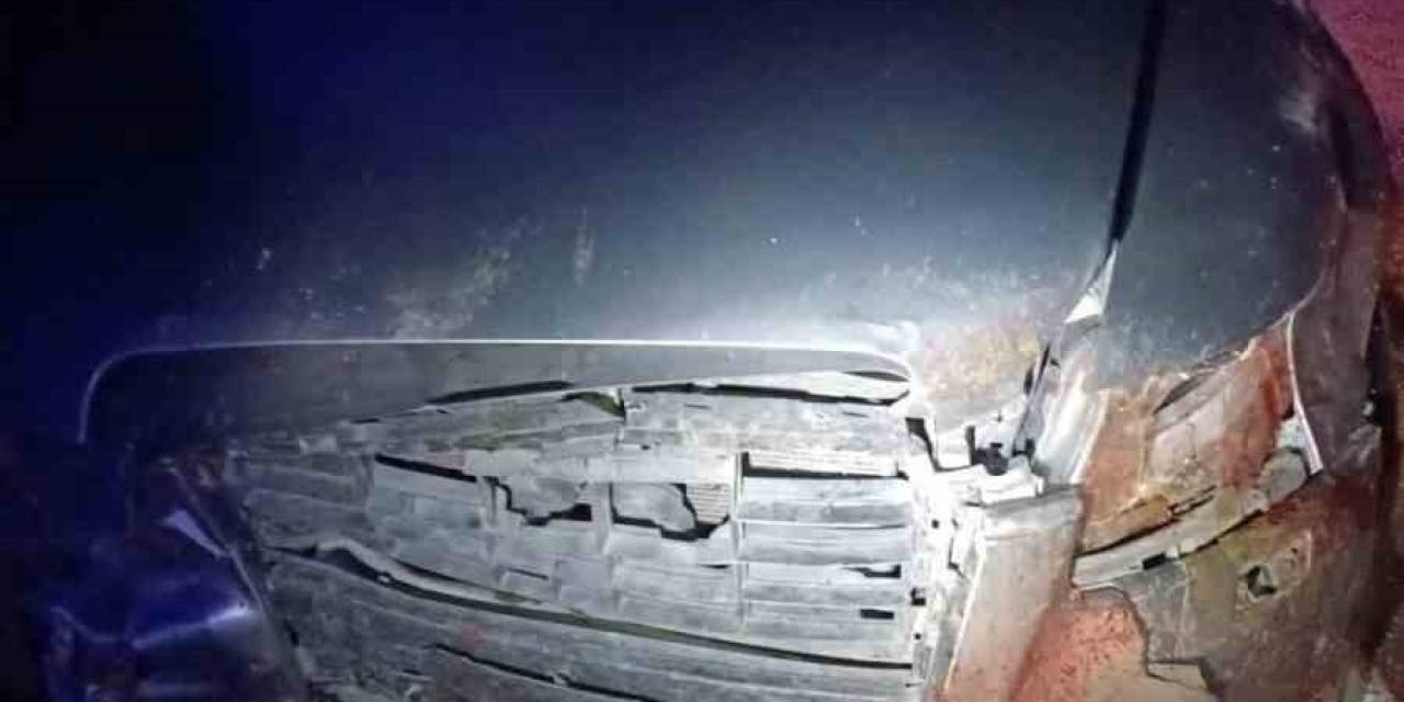 Domuz Sürüsüne Çarpan Otomobildeki 6 Kişi Yaralandı