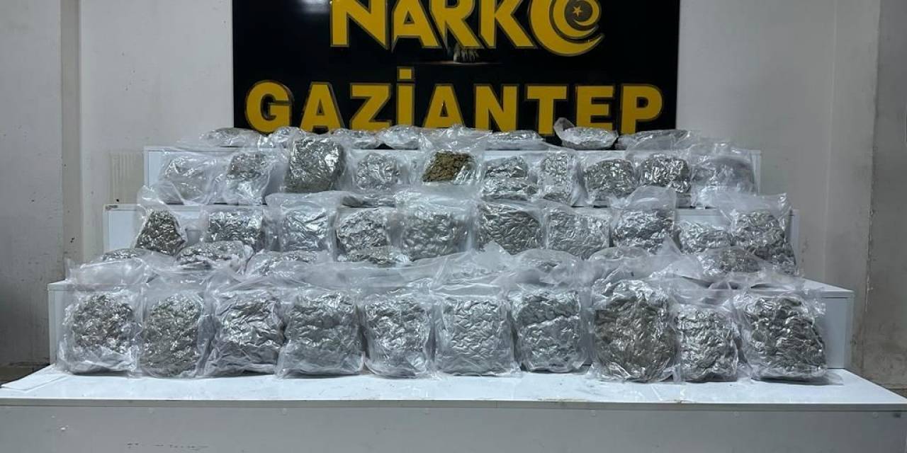 Gaziantep’te 24 Kilo Skunk Ele Geçirildi
