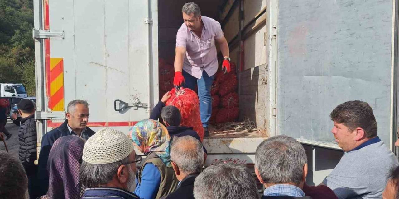 Kastamonu’da Ahşap Sera Projesi Hayata Geçirildi