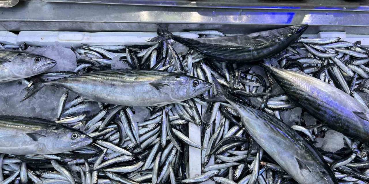 Balık Tezgahlarında Hafta Sonu Bereketi