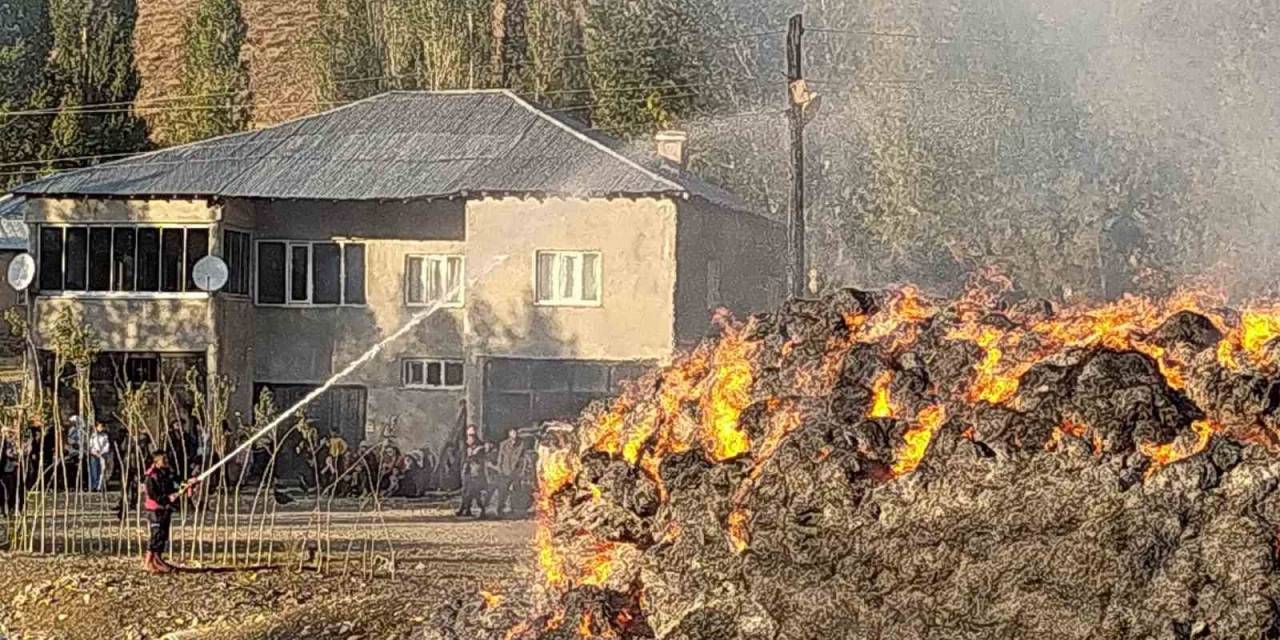 Yüksekova’da Çıkan Yangında 20 Bin Bağ Ot Yandı