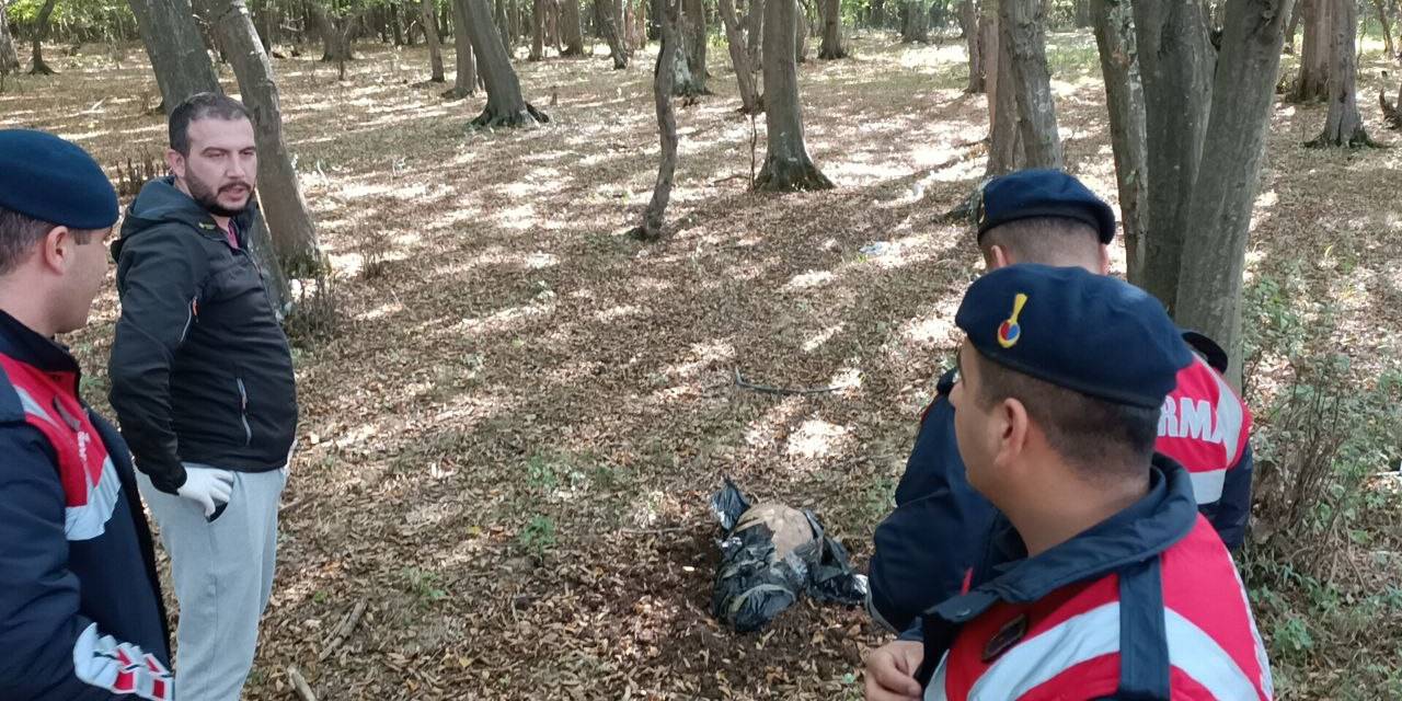 Vatandaş Çocuk Cesedi Sandı, Bakın Ne Çıktı