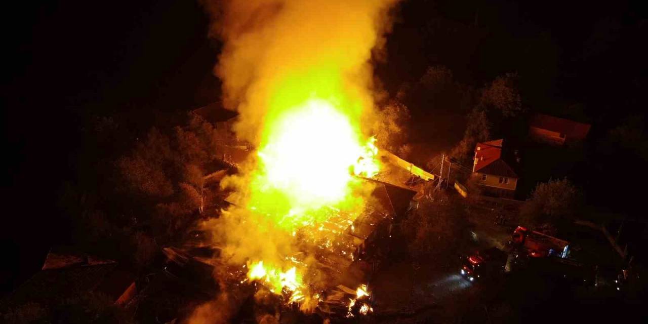 Kastamonu’da Alevler Geceyi Aydınlattı: 2 Ev Ve 22 Büyükbaş Hayvan Yandı