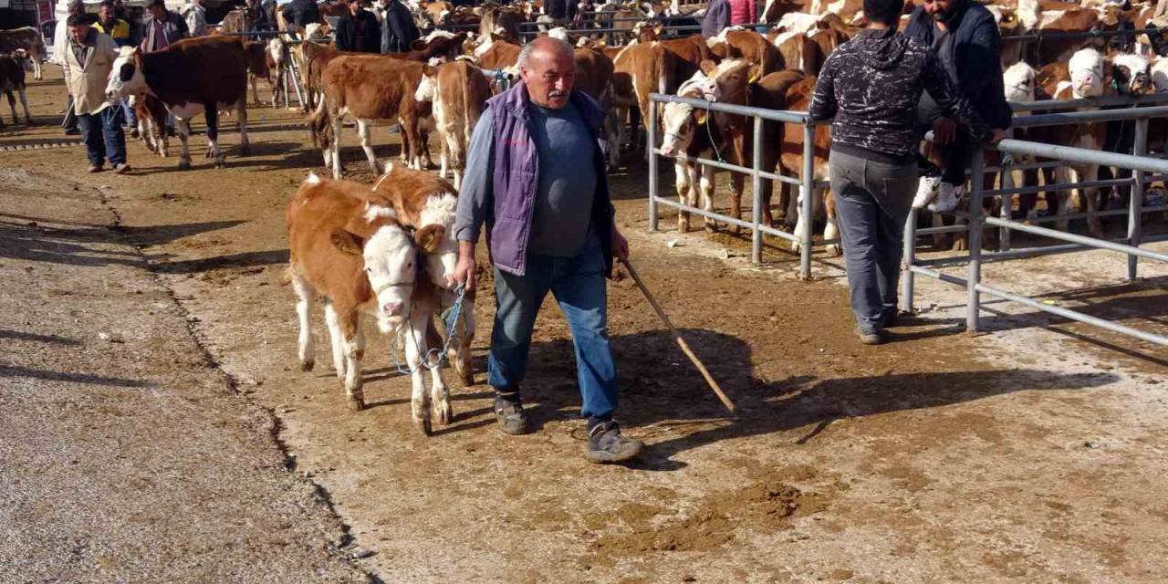 Yasakların Ardından Yozgat’ta Canlı Hayvan Pazarlarında Yoğunluk Sürüyor