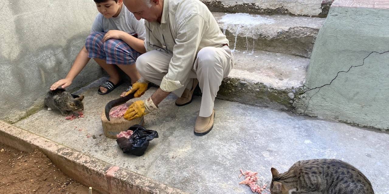 Depremde Tedavi Edip İyileştirdiler, Şimdi Ailenin Parçası Oldu