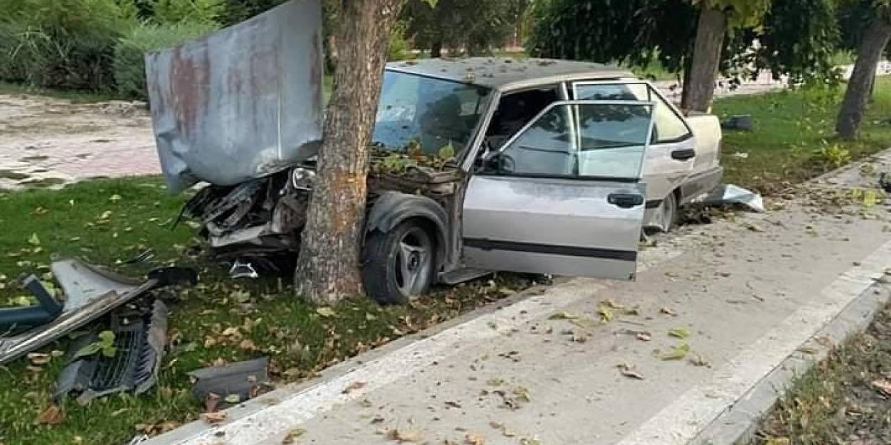 Elazığ’da Otomobil Ağaca Çarptı: 1 Yaralı