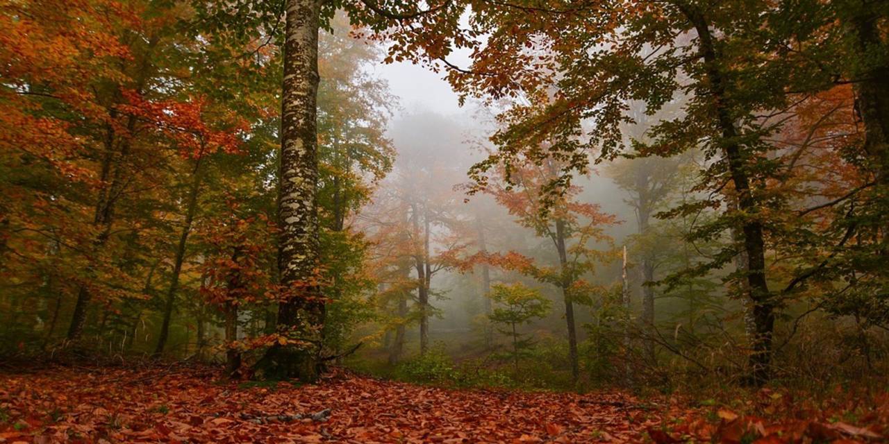 Balıkesir’de Temiz Hava Cari Fazlalık Verdi