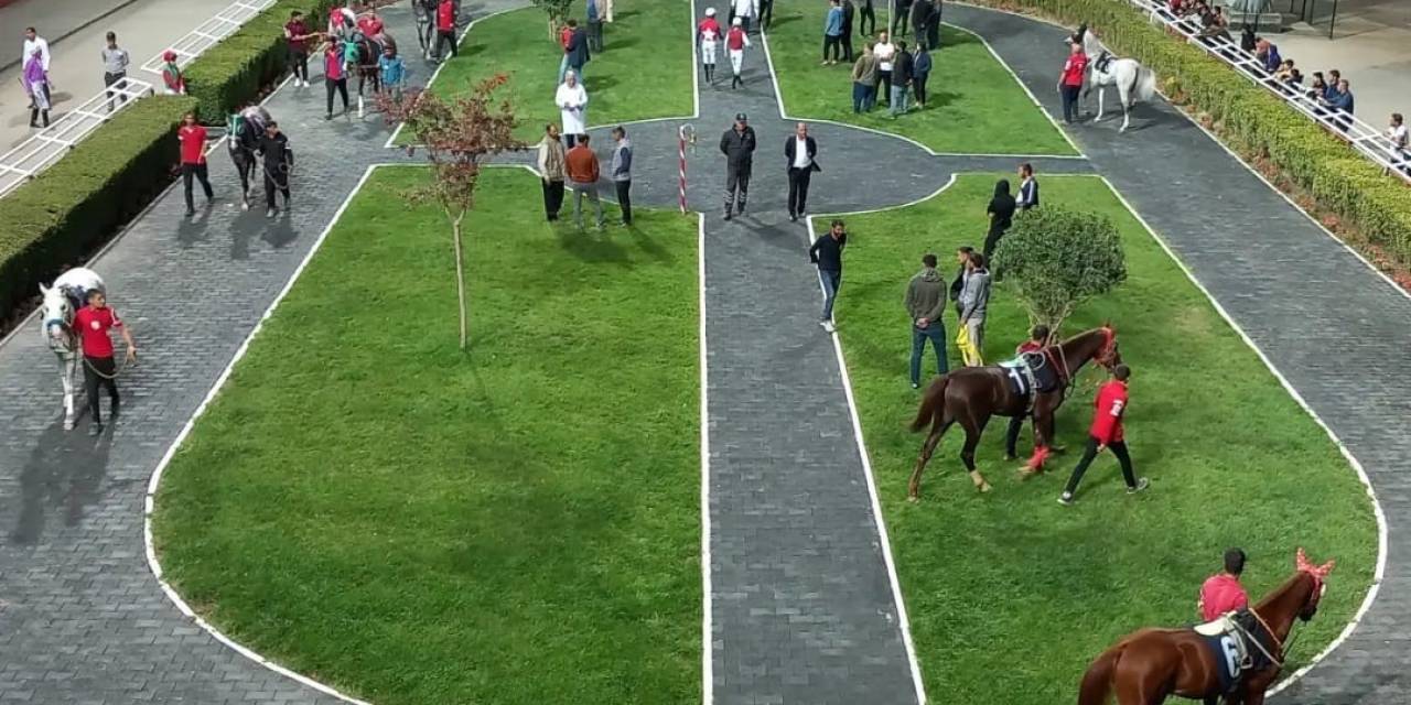Diyarbakır Hipodromu’nda Zerzevan Kalesi Koşusu Yapıldı