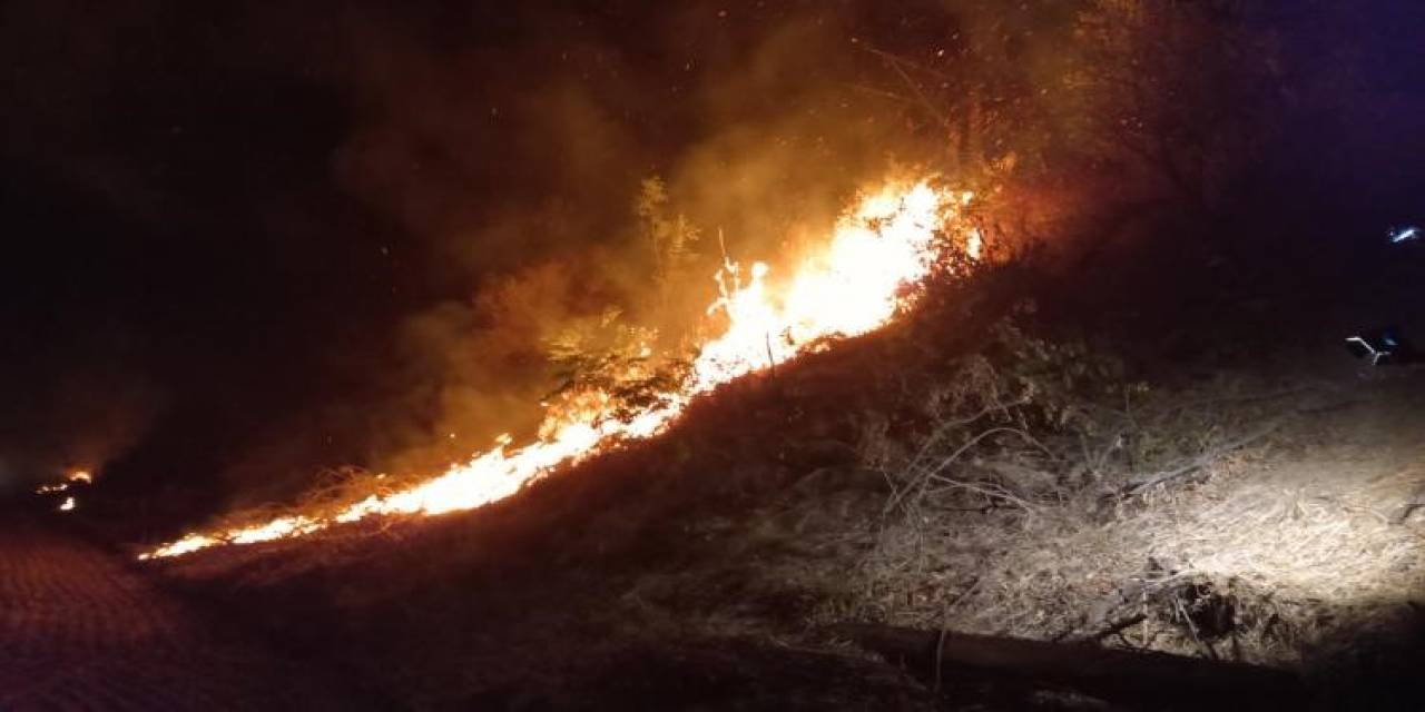 Yangın Tren Yoluna Sıçradı, Uluslararası Lojistik Tren Seferi Durdu