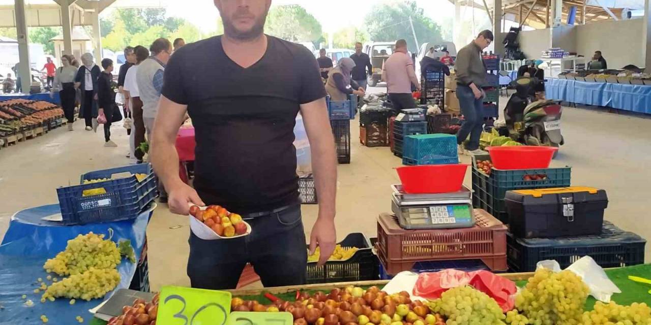 Hisarcık’ta Fiyatı 30 Tl’ye Düşen Şifa Deposu Hünnapa Rağbet Arttı