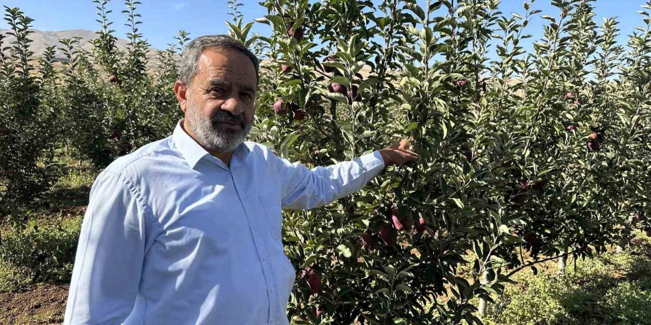 Tarlada 5 Lira Olan Elmanın Fiyatı Markette 30 Liraya Kadar Çıkıyor