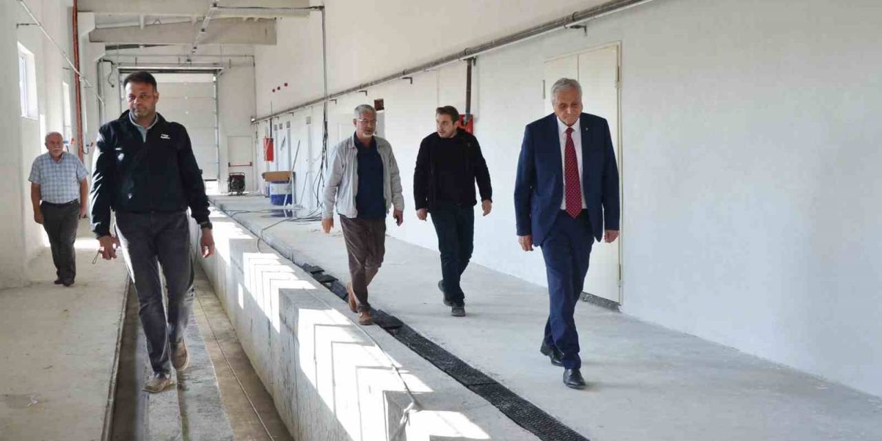 Nostaljik Tramvaylar Burada Korunacak