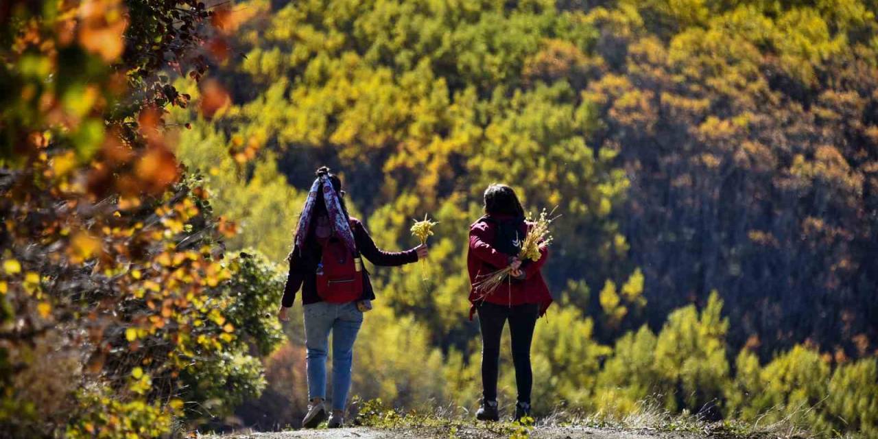 Gümüşhane’de Doğa Tutkunları Sonbaharın Keyfini Çıkarıyor