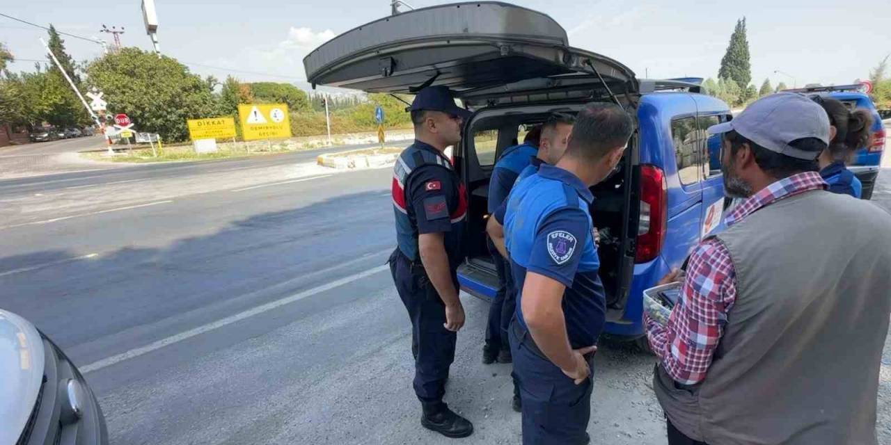 Jandarmadan Dilenci Operasyonu