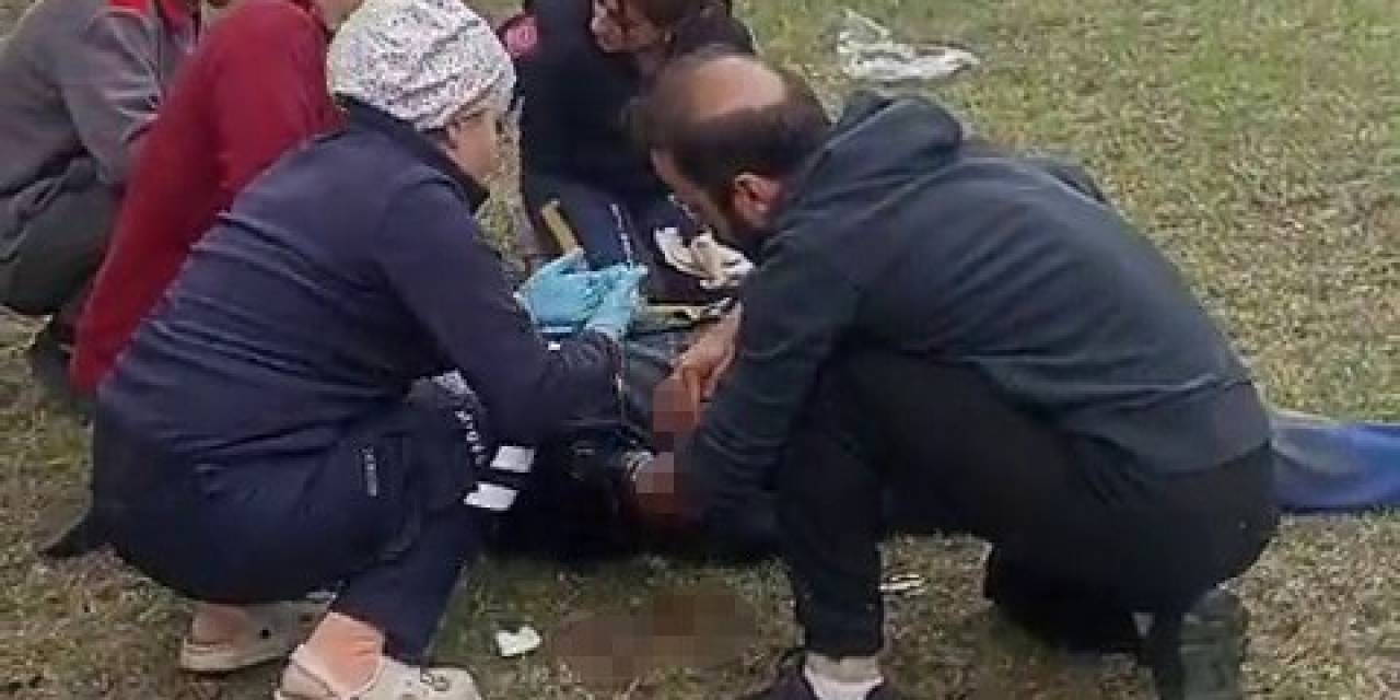 Yaşlı Adam Tarlada Ayının Saldırısına Uğradı
