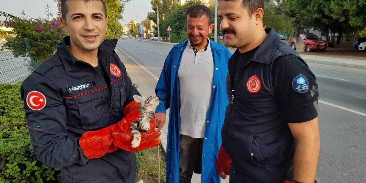 Otomobilin Motor Kısmına Giren Yavru Kedi, 3 Saatte Çıkarılabildi