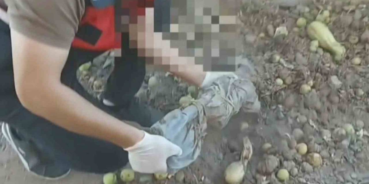Ağaç Altından Gömülü Tüfekler, Baza Altından Tabanca Ve Uyuşturucular Çıktı