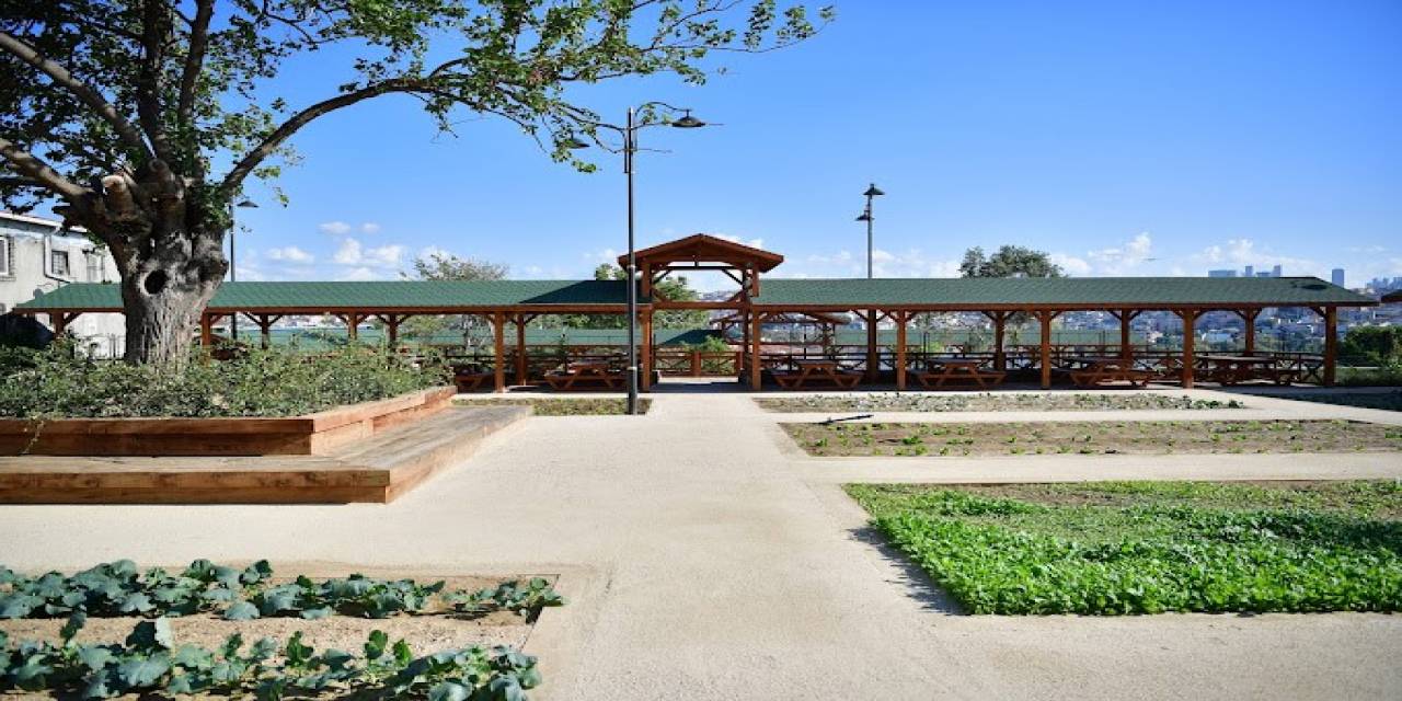 Fatih’in Tarımsal Mirası Ayvansaray Bahçe’de Birinci Yıl Etkinliği Düzenlendi