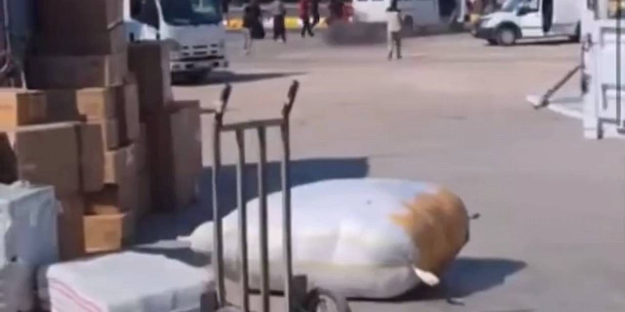 Sokak Ortasında Birbirlerine Ateş Ettiler