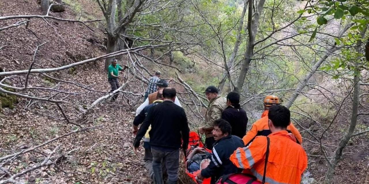 Ekipler Ağaçtan Düşen Adam İçin Seferber Oldu