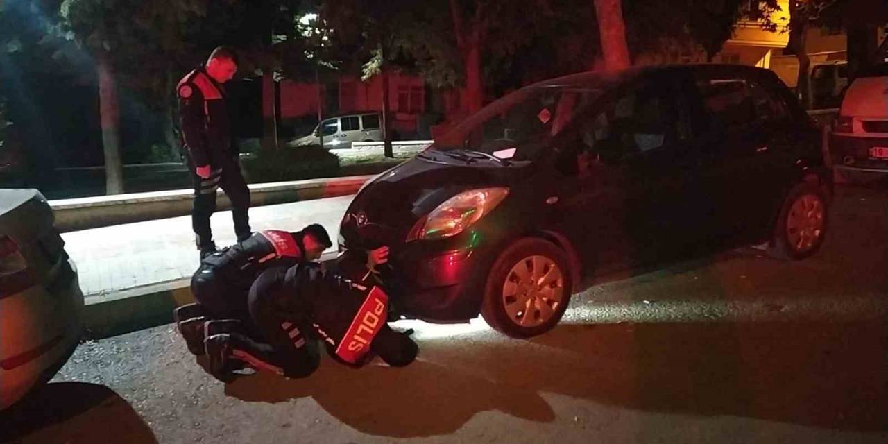 Yaramaz Kediyi Önce Polis Sonra İtfaiye Kurtardı