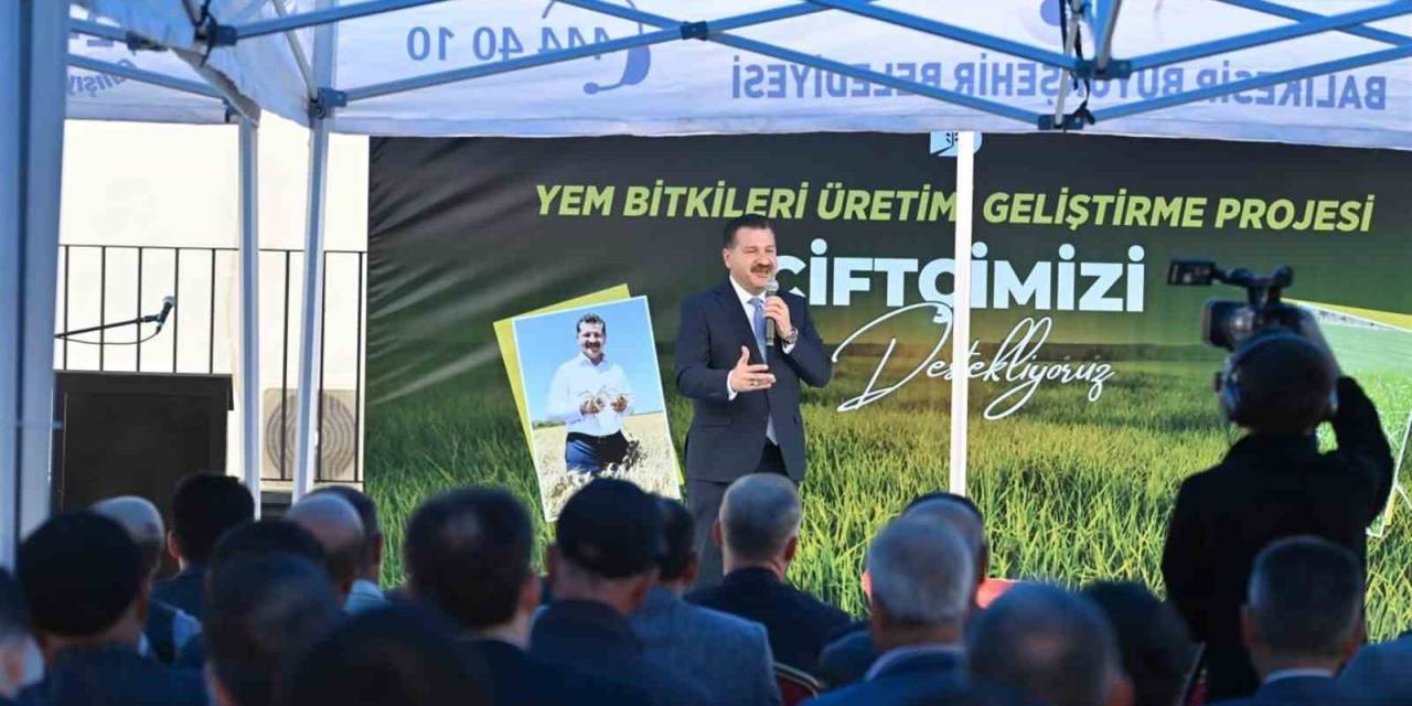 Balıkesir Büyükşehir’den Üreticiye Süt Otu Tohumu Desteği