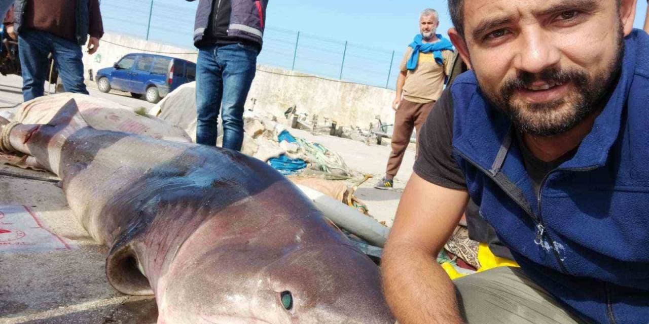 Jaws’la Özçekim...