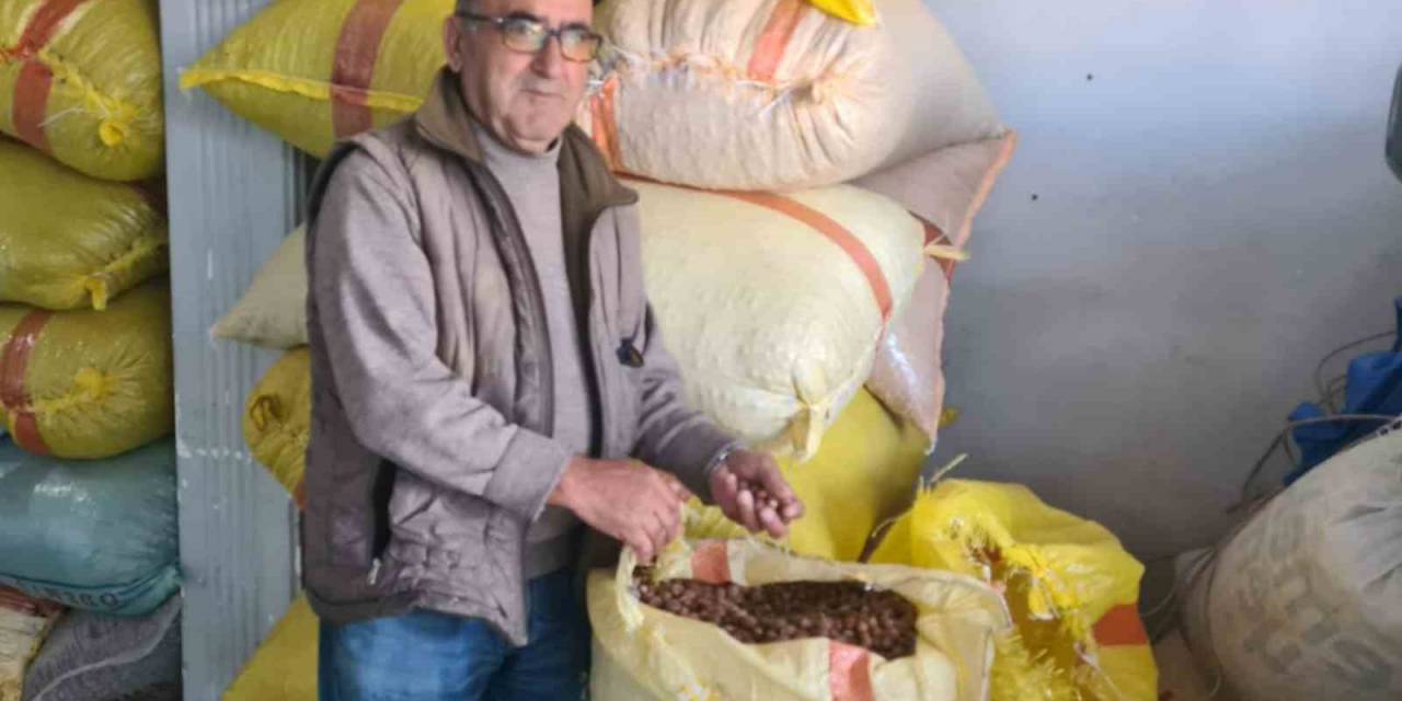 Fındık 125 Lirayı Görecek