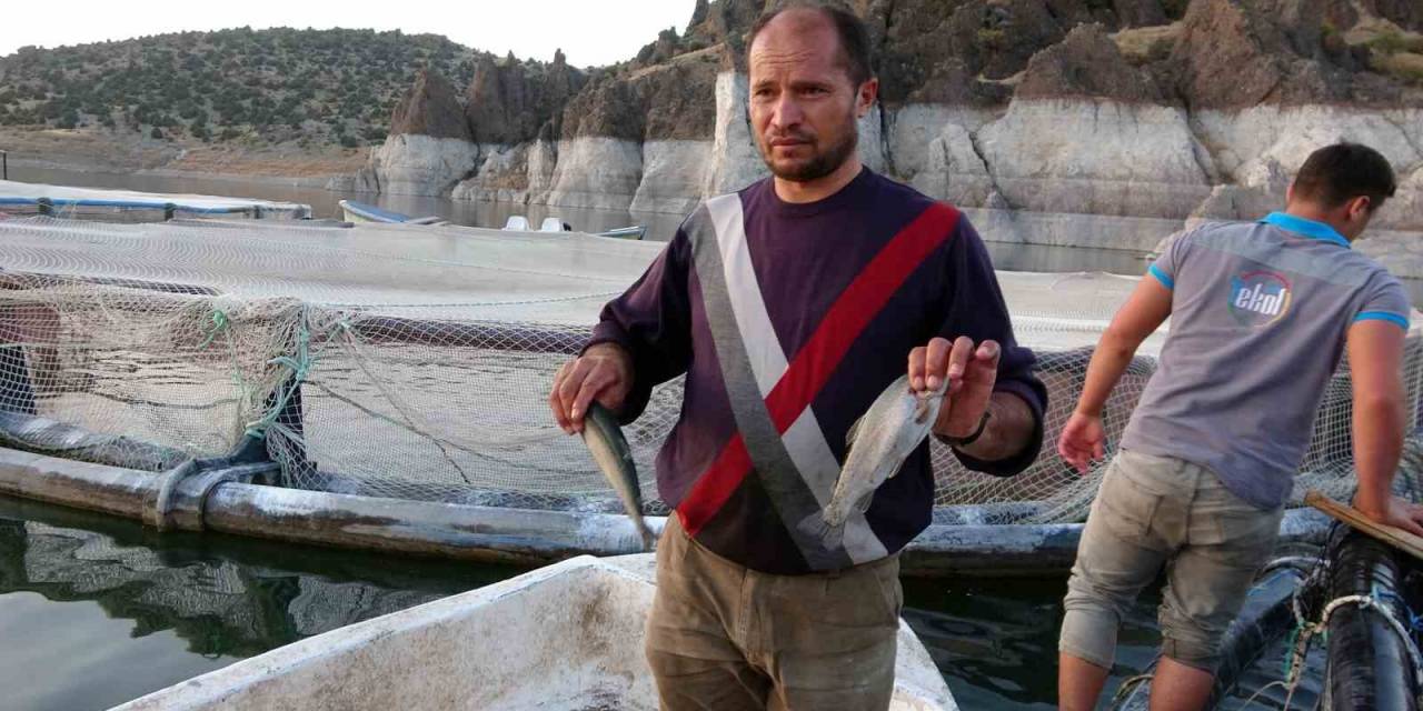 Tarım Arazisi Sular Altında Kalınca O Da Alabalık Üreticisi Oldu