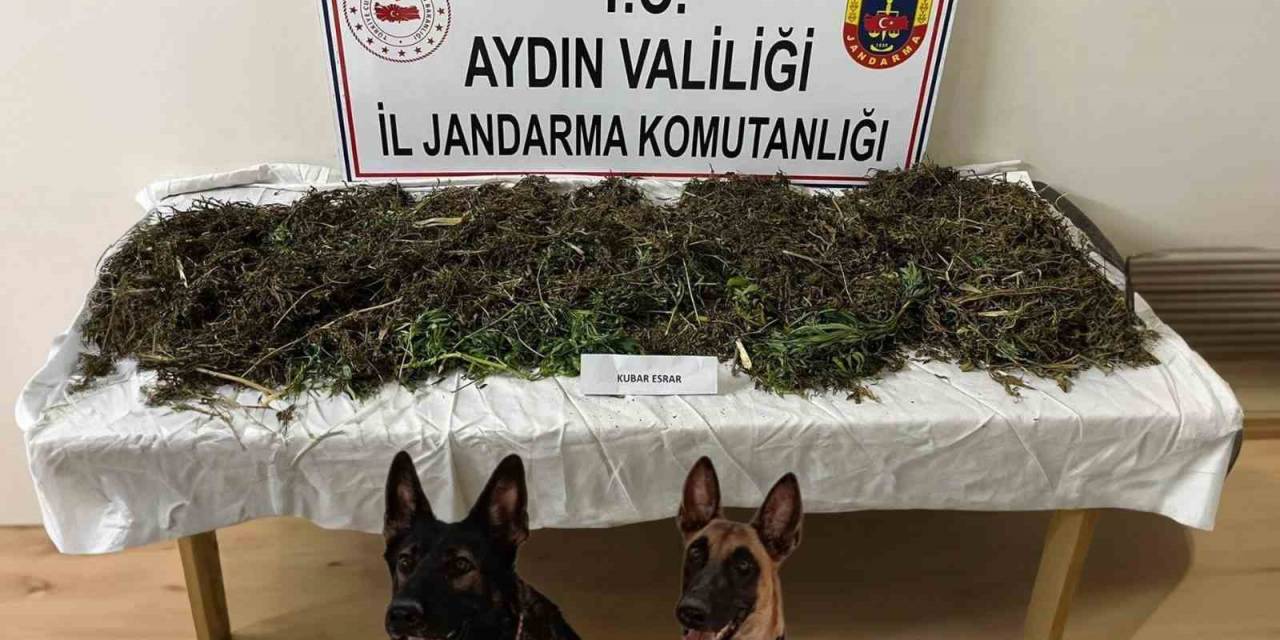Koçarlı’da Uyuşturucu Operasyonu: 2 Tutuklama