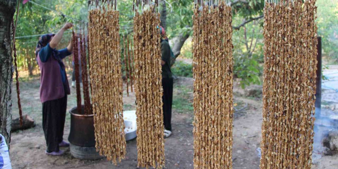 Halkapınar’da Cevizli Bandırma Mesaisi Başladı