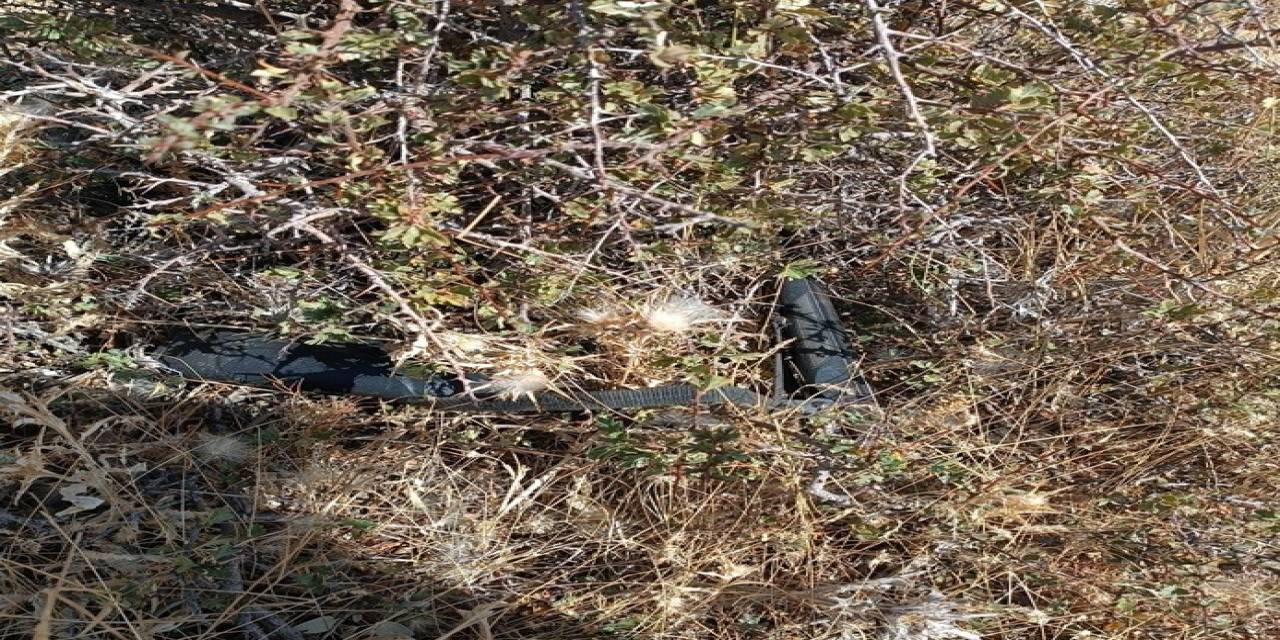 Afganistan Uyruklu Çobanın Cinayet Şüphelisi Yakalandı