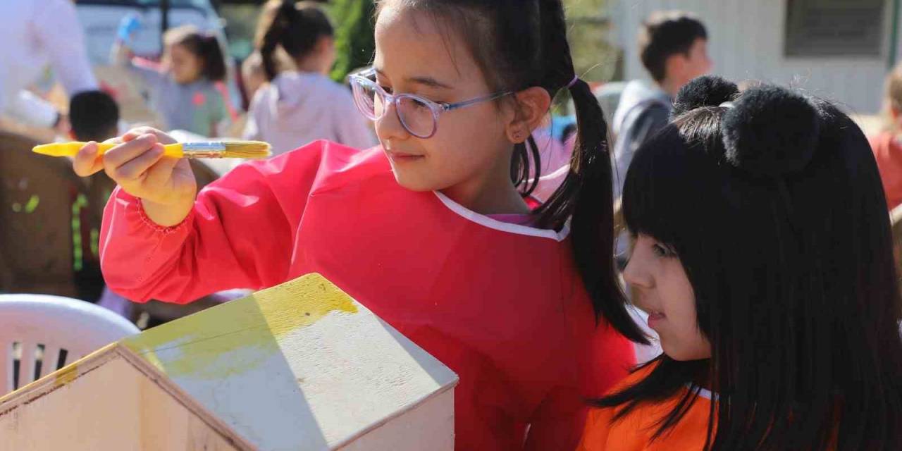 Öğrenciler, Kulübeleri Sokak Hayvanları İçin Hazırladı