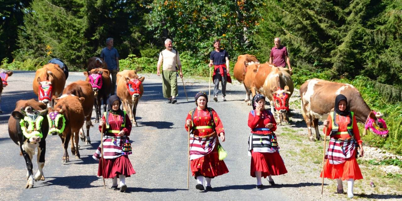 ‘Vargit’ Çiçeklerinin Açtığını Gördüler, Yaylalarından Dönüşe Geçtiler