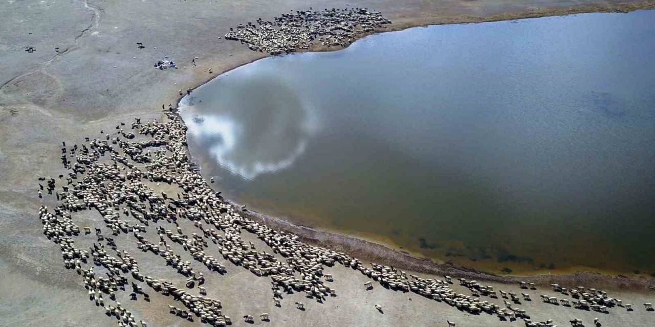 Kalp Gölü’ne Su İçmeye Gelen Sürüler Kartpostallık Görüntüler Oluşturdu
